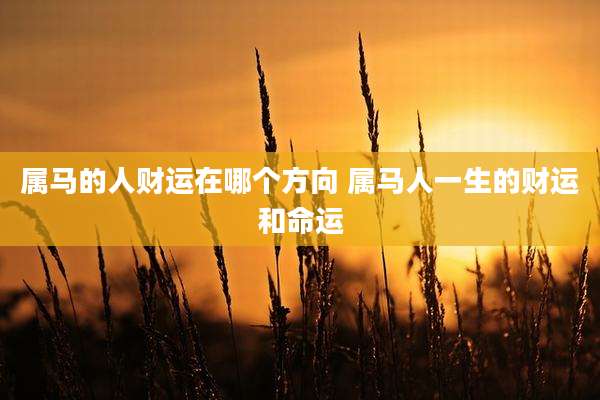 属马的人财运在哪个方向 属马人一生的财运和命运