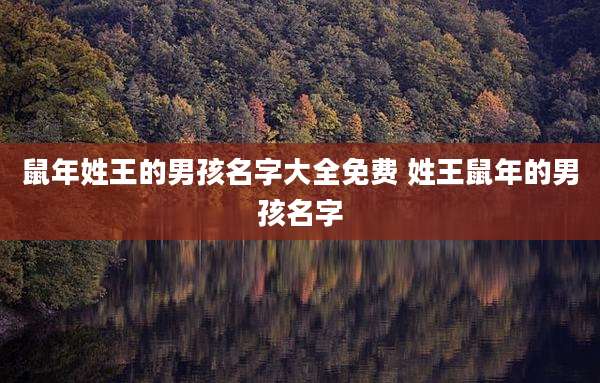 鼠年姓王的男孩名字大全免费 姓王鼠年的男孩名字