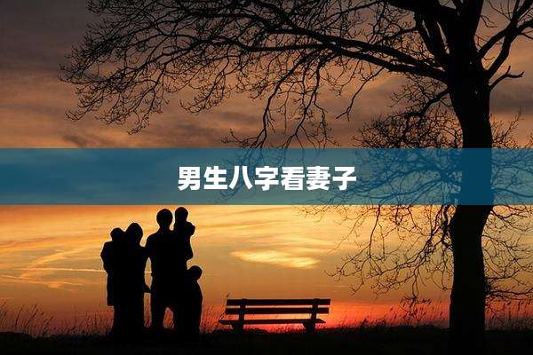 男生八字看妻子