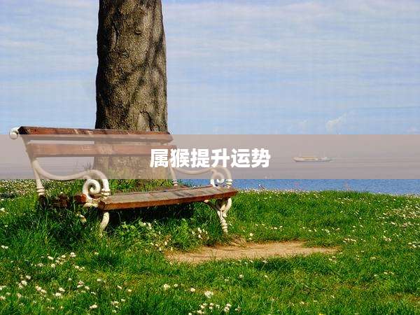 属猴提升运势