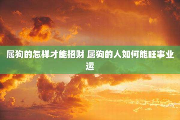 属狗的怎样才能招财 属狗的人如何能旺事业运