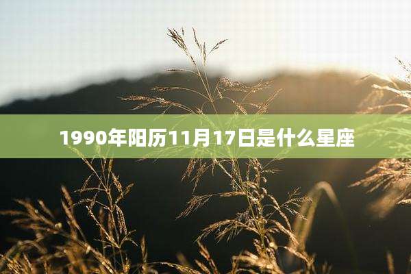 1990年阳历11月17日是什么星座