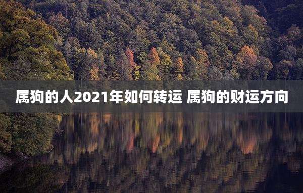 属狗的人2021年如何转运 属狗的财运方向