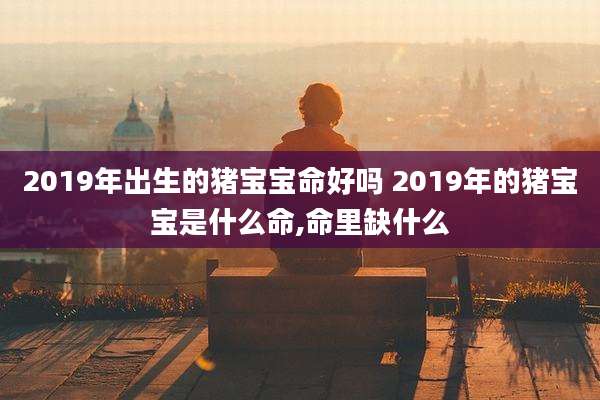 2019年出生的猪宝宝命好吗 2019年的猪宝宝是什么命,命里缺什么