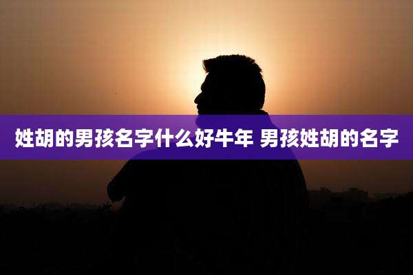 姓胡的男孩名字什么好牛年 男孩姓胡的名字