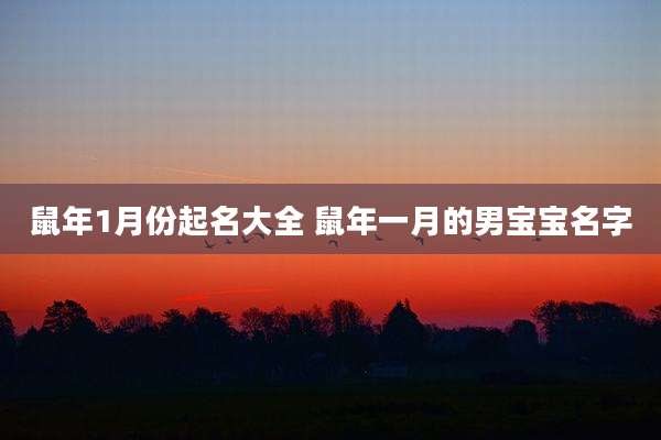 鼠年1月份起名大全 鼠年一月的男宝宝名字