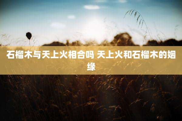 石榴木与天上火相合吗 天上火和石榴木的姻缘