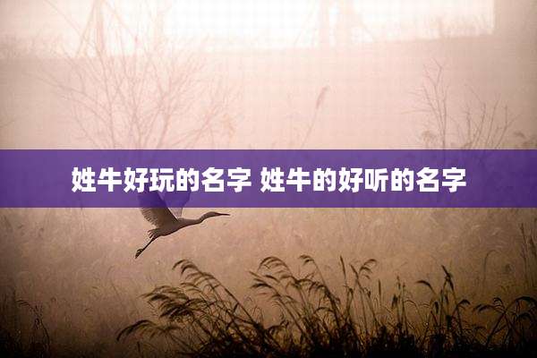 姓牛好玩的名字 姓牛的好听的名字