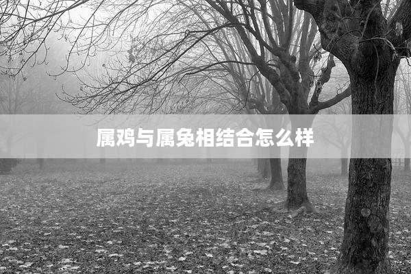 属鸡与属兔相结合怎么样