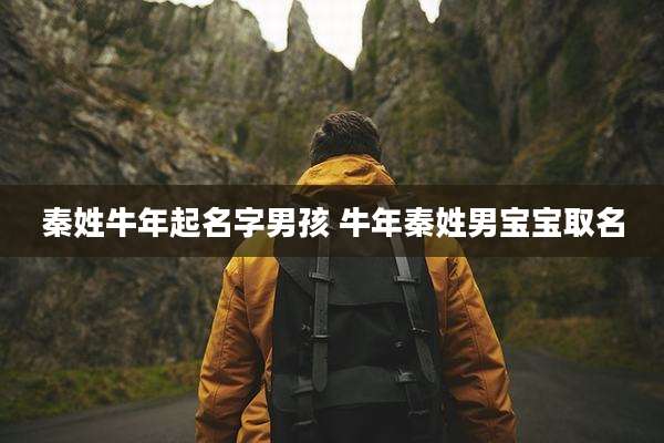 秦姓牛年起名字男孩 牛年秦姓男宝宝取名