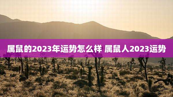 属鼠的2023年运势怎么样 属鼠人2023运势