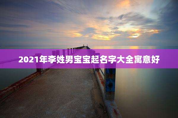 2021年李姓男宝宝起名字大全寓意好