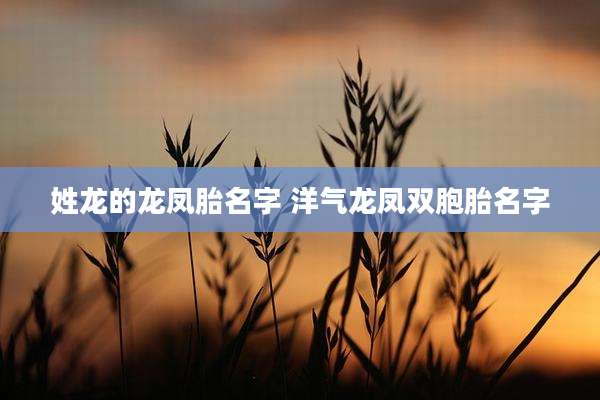 姓龙的龙凤胎名字 洋气龙凤双胞胎名字