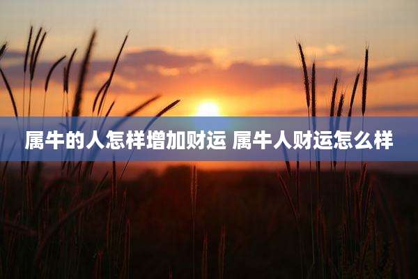 属牛的人怎样增加财运 属牛人财运怎么样