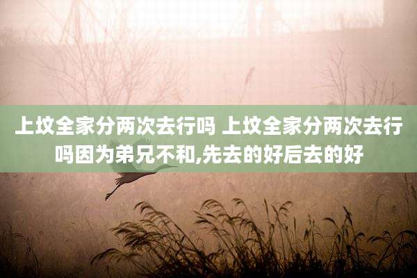 上坟全家分两次去行吗 上坟全家分两次去行吗因为弟兄不和,先去的好后去的好