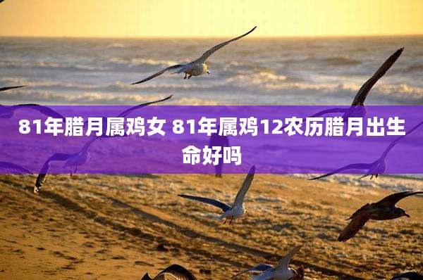 81年腊月属鸡女 81年属鸡12农历腊月出生命好吗