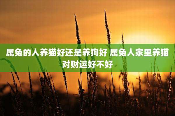 属兔的人养猫好还是养狗好 属兔人家里养猫对财运好不好