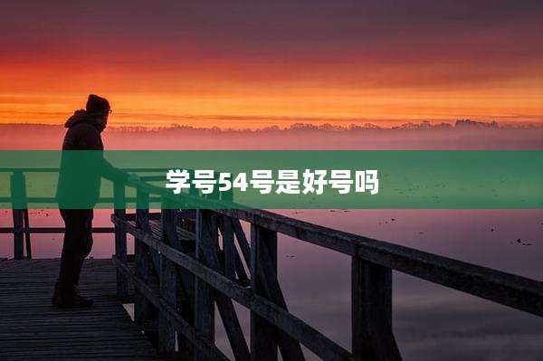 学号54号是好号吗
