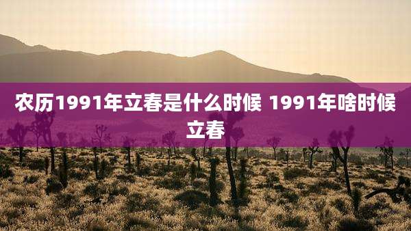 农历1991年立春是什么时候 1991年啥时候立春
