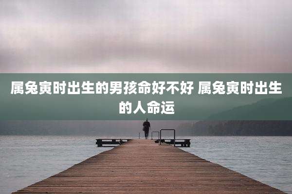 属兔寅时出生的男孩命好不好 属兔寅时出生的人命运