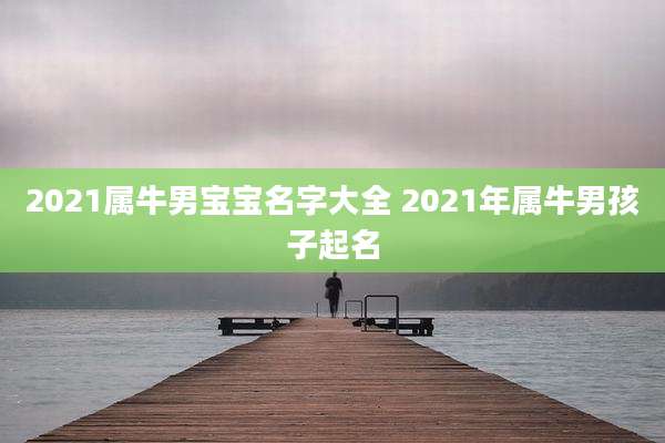 2021属牛男宝宝名字大全 2021年属牛男孩子起名