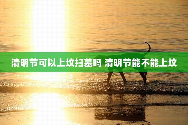 清明节可以上坟扫墓吗 清明节能不能上坟