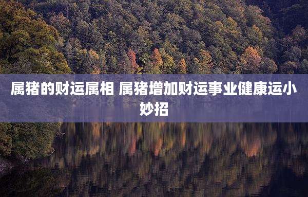 属猪的财运属相 属猪增加财运事业健康运小妙招
