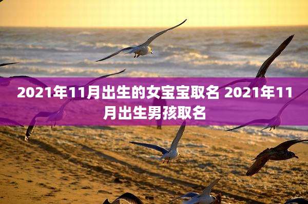 2021年11月出生的女宝宝取名 2021年11月出生男孩取名