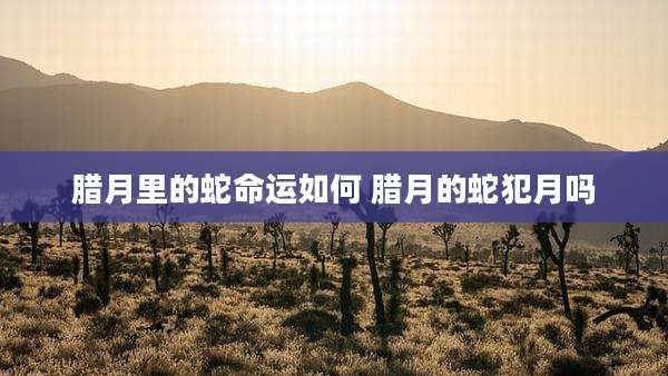 腊月里的蛇命运如何 腊月的蛇犯月吗