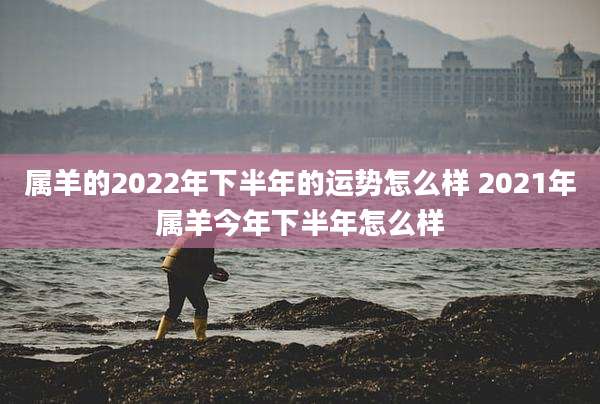 属羊的2022年下半年的运势怎么样 2021年属羊今年下半年怎么样