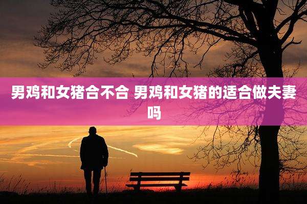 男鸡和女猪合不合 男鸡和女猪的适合做夫妻吗