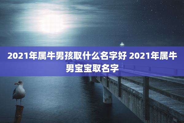 2021年属牛男孩取什么名字好 2021年属牛男宝宝取名字