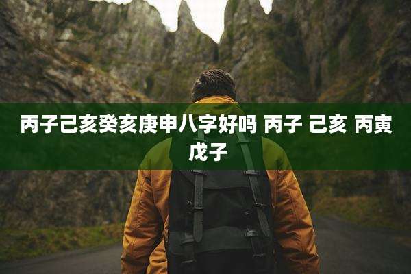 丙子己亥癸亥庚申八字好吗 丙子 己亥 丙寅 戊子
