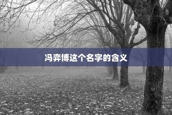 冯弈博这个名字的含义