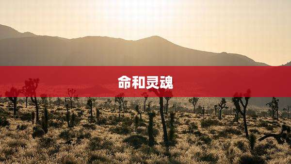命和灵魂