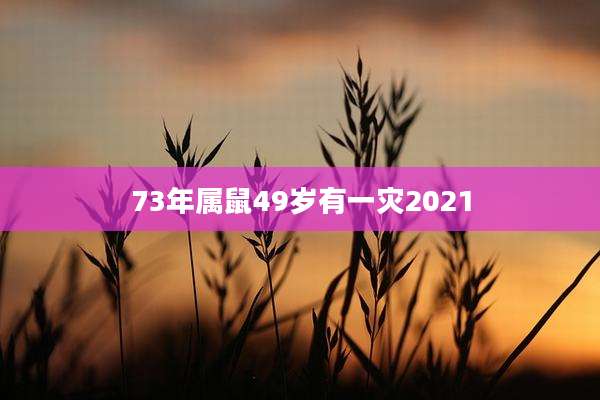 73年属鼠49岁有一灾2021