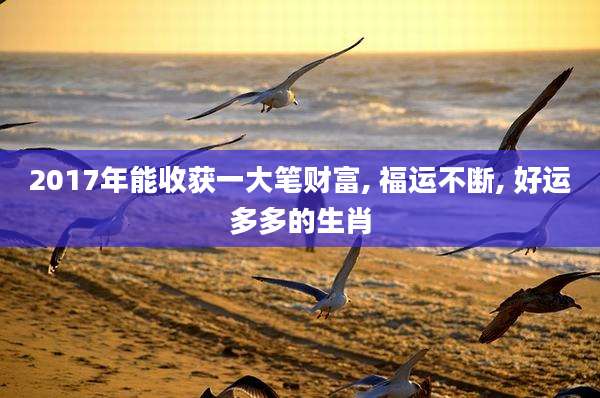 2017年能收获一大笔财富, 福运不断, 好运多多的生肖