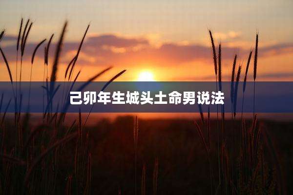 己卯年生城头土命男说法