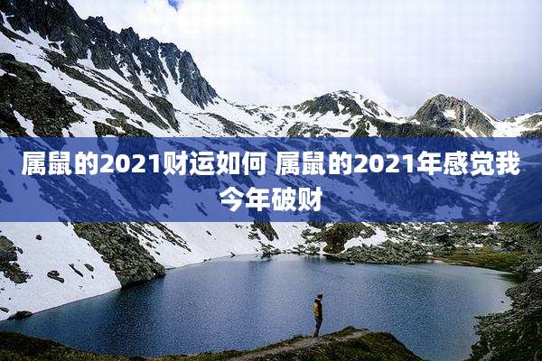 属鼠的2021财运如何 属鼠的2021年感觉我今年破财