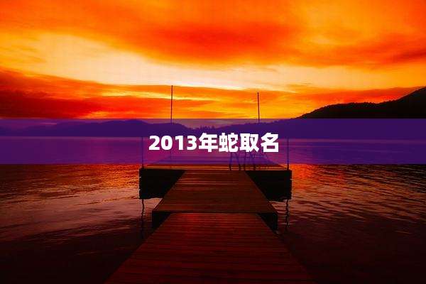 2013年蛇取名