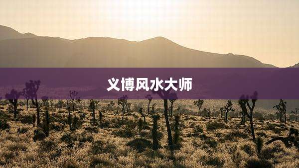 义博风水大师