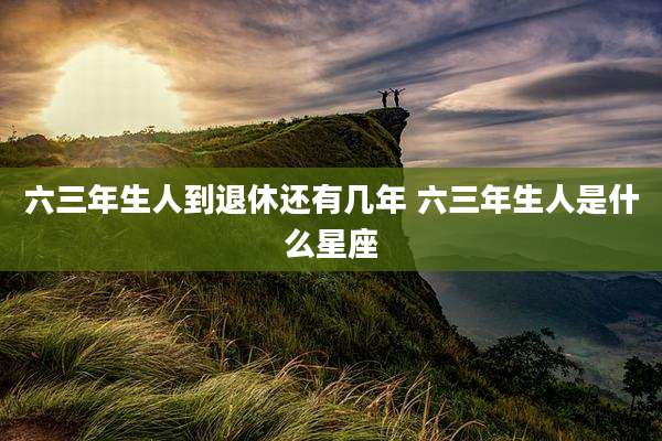 六三年生人到退休还有几年 六三年生人是什么星座
