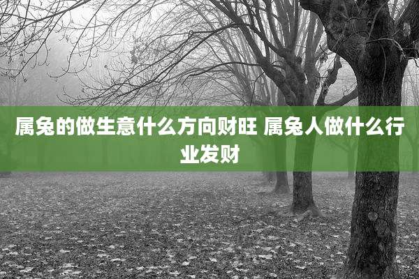 属兔的做生意什么方向财旺 属兔人做什么行业发财