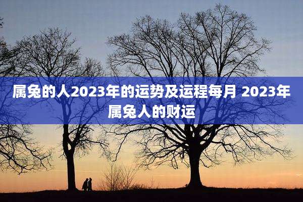 属兔的人2023年的运势及运程每月 2023年属兔人的财运