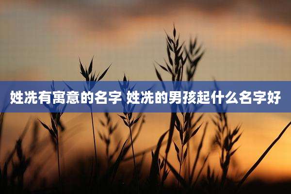 姓冼有寓意的名字 姓冼的男孩起什么名字好