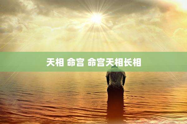 天相 命宫 命宫天相长相