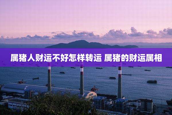 属猪人财运不好怎样转运 属猪的财运属相