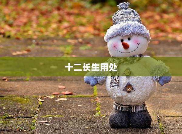 十二长生用处