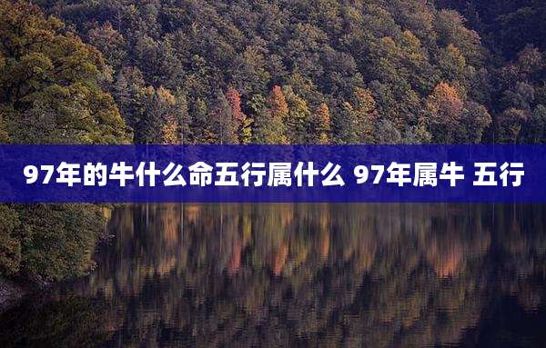 97年的牛什么命五行属什么 97年属牛 五行