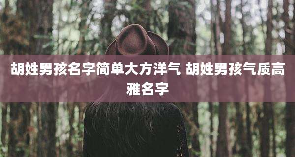 胡姓男孩名字简单大方洋气 胡姓男孩气质高雅名字